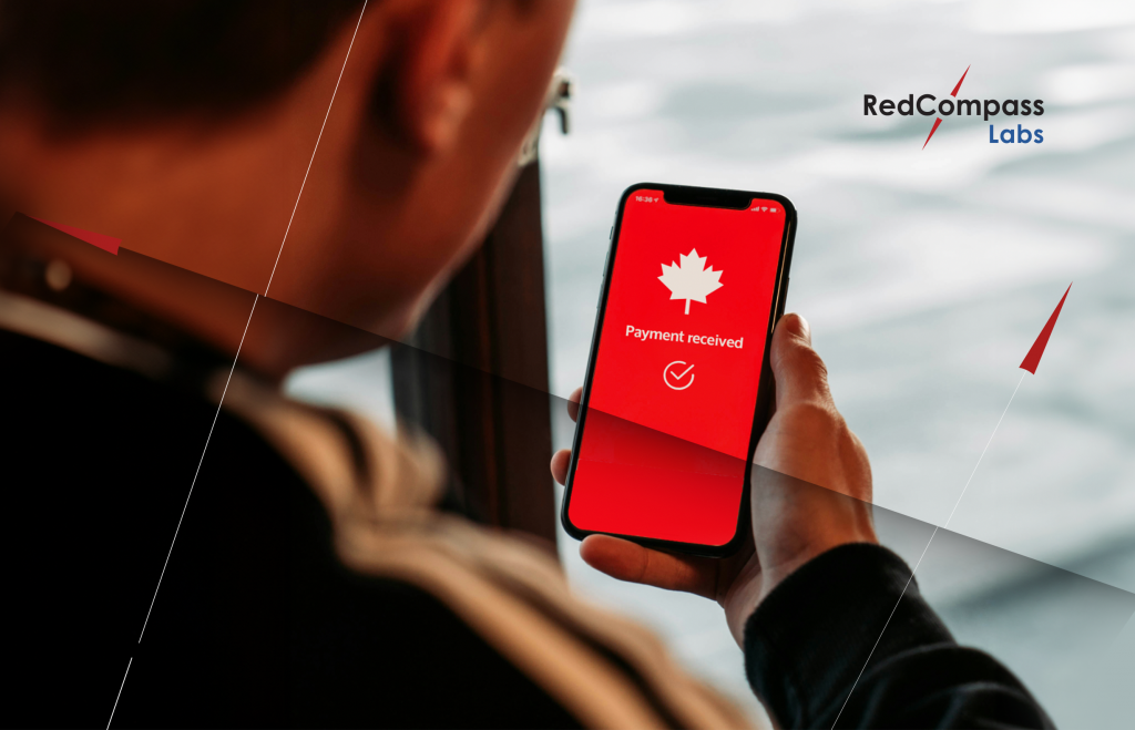 The Real-time Rail is coming! What can Canada learn from other instant payment schemes?
