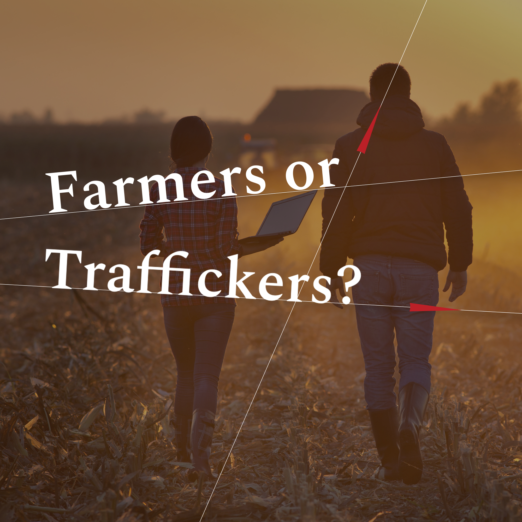 The labor trafficking blueprint Labs