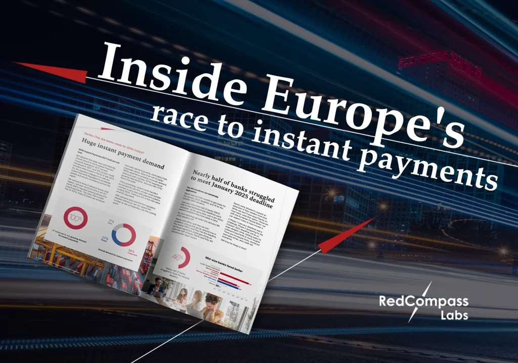 Europe instant payments research 2025